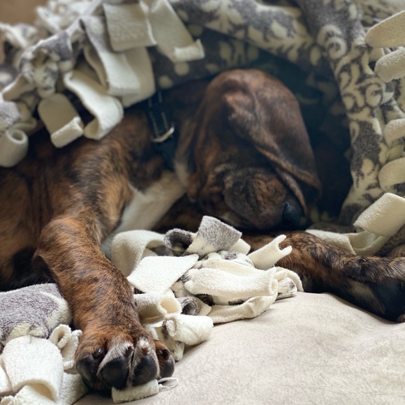 Meet your Posher, Alex-andra - Picture 9 of 12